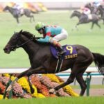 【菊花賞】エネルジコが快勝!ルメールは同レース史上初の3連覇