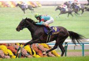 【菊花賞】エネルジコが快勝!ルメールは同レース史上初の3連覇