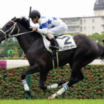 【サウジアラビアRC】チュウワカーネギーってどうなん?