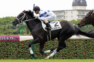 【サウジアラビアRC】チュウワカーネギーってどうなん？