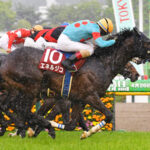 【競馬予想】[2] 第86回菊花賞(GⅠ) /2025