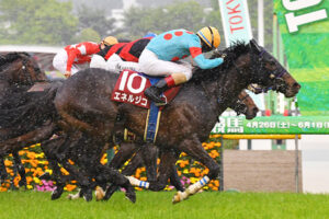 【競馬予想】[2] 第86回菊花賞(GⅠ) /2025