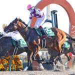 【競馬予想】第38回マイルチャンピオンシップ南部杯(Jpn1/盛岡) /2025