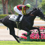 【競馬予想】[2]第11回サウジアラビアロイヤルカップ(GⅢ)