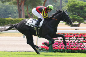 【競馬予想】[2]第11回サウジアラビアロイヤルカップ(GⅢ)