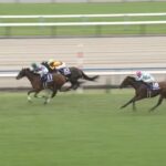 【秋華賞2025】結果・動画/エンブロイダリーが鮮やかに二冠達成