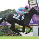 【悲報】イクイ全妹イクシード骨折で全治6ヶ月以上