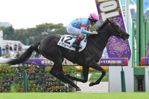 【悲報】イクイ全妹イクシード骨折で全治6ヶ月以上