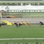 【競馬】セレクトセールで5.9億円のエムズビギン敗れる 勝ったのはテルヒコウ
