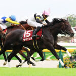 【アイルランドT】4番人気ラヴァンダが差し切りV！重賞初勝利