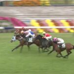 【ファンタジーステークス2025】出走予定馬・騎手/前途遼遠