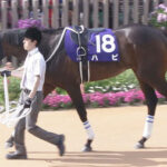 【太秦S】ハピが三年半振り勝利www