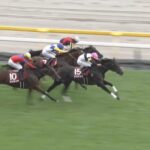 【アイルランドトロフィー2025】結果・動画/ラヴァンダが追い比べを制す