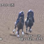 【サウジアラビアロイヤルカップ2025】追い切り/抜群の動きを見せたのは