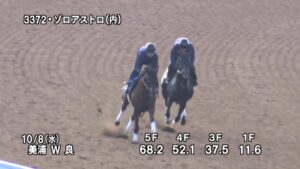 【サウジアラビアロイヤルカップ2025】追い切り/抜群の動きを見せたのは
