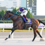 22&23年NAR年度代表馬イグナイターが南部杯を最後に引退