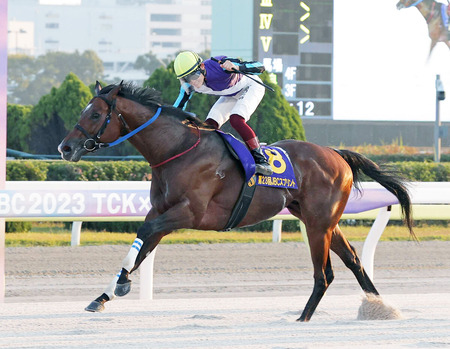 22&23年NAR年度代表馬イグナイターが南部杯を最後に引退