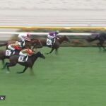 【競馬】クロワデュノールの全弟チャリングクロスが鞍上ウチパクで2戦目で快勝