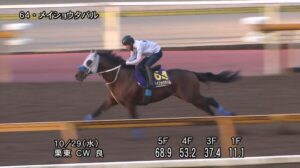 【天皇賞秋2025】追い切り/動きを見極め勝利に近づけ
