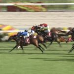 【スワンステークス2025】結果・動画/オフトレイルがレコードV