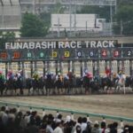 JBCクラシック・スプリント・レディスCのJRA登録馬発表