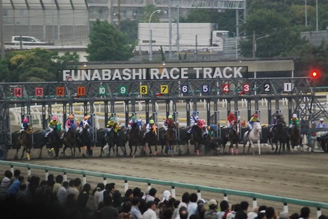 JBCクラシック・スプリント・レディスCのJRA登録馬発表