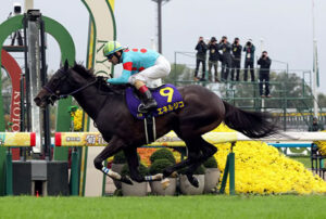 【悲報】エネルジコ屈腱炎で全治9カ月以上