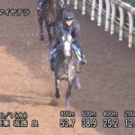 【京都大賞典2025】追い切り/調教を見てわかる事