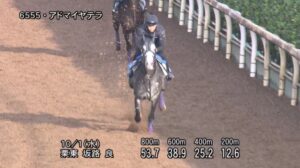 【京都大賞典2025】追い切り/調教を見てわかる事