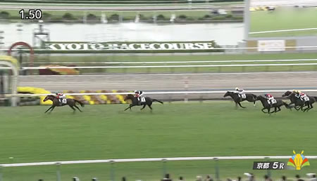 【2歳新馬】6億円馬エムズビギンがデビュー!結果は・・・
