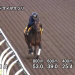 【アイルランドトロフィー2025】追い切り/動きを見極め勝利に近づけ