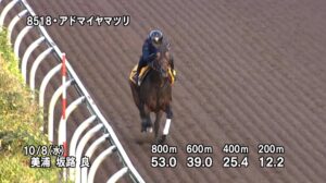 【アイルランドトロフィー2025】追い切り/動きを見極め勝利に近づけ
