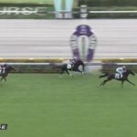 【競馬】イクイノックスの全妹イクシードが鞍上ルメールでデビュー勝ち