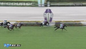 【競馬】イクイノックスの全妹イクシードが鞍上ルメールでデビュー勝ち