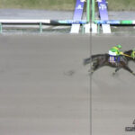 【マイルCS南部杯】ウィルソンテソーロが圧勝でJpn1・2勝目 2着はシックスペンス