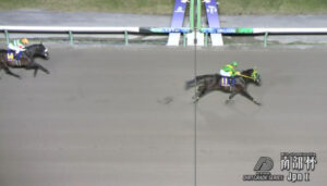 【マイルCS南部杯】ウィルソンテソーロが圧勝でJpn1･２勝目　2着はシックスペンス