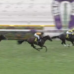 【アイビーS】アンドゥーリル強すぎワロタ