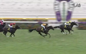 【アイビーS】アンドゥーリル強すぎワロタ