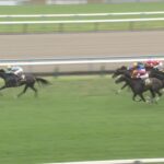 【菊花賞2025】結果・動画/エネルジコが抜け出し3歳長距離王の座を射止める