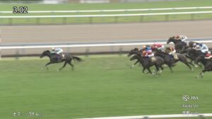 【菊花賞2025】結果・動画/エネルジコが抜け出し3歳長距離王の座を射止める
