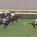 【競馬】サウジアラビアRCは坂井騎乗のエコロアルバがV