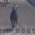 【毎日王冠2025】追い切り/動きからレースを紐解く