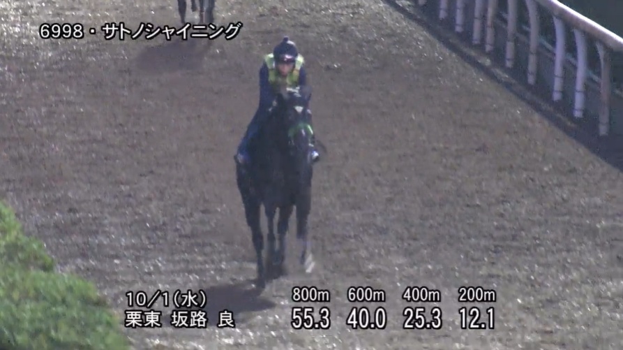 【毎日王冠2025】追い切り/動きからレースを紐解く