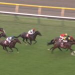 【京王杯2歳ステークス2025】出走予定馬・騎手/距離がカギ