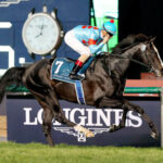 イクイノックス以外で当時世界一だったと思う日本調教馬おる?