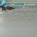 【ジャパンダートC】逃走ナルカミが圧勝!ナチュラルライズは2着で三冠ならず