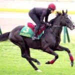 【悲報】オーギュストロダンさんクールモアに見捨てられる