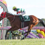 重賞2勝ラヴェルが繋じん帯炎で引退