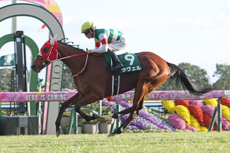 重賞2勝ラヴェルが繋じん帯炎で引退