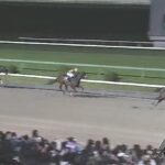 【マイルCS南部杯2025】結果・動画/ウィルソンテソーロが４馬身差圧勝